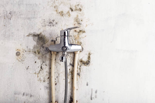 Reliable Washington Court House, OH Mold Removal Solutions