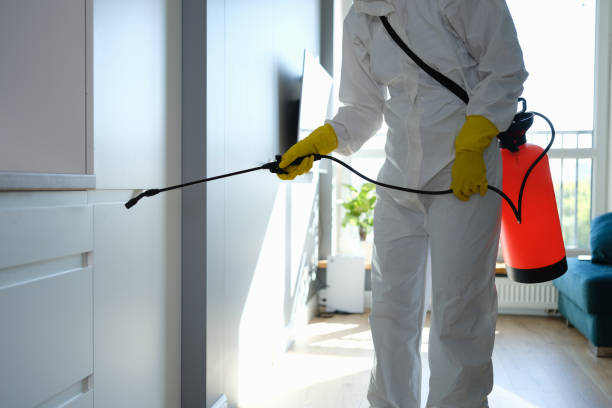 Best Residential Mold Removal  in Washington Court House, OH