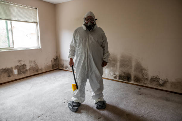 Best Home Mold Removal  in Washington Court House, OH